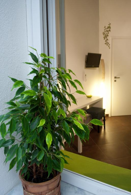 Affittacamere B&B Carella 팔레르모 객실 사진
